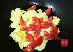 番茄炒蛋的做法图解8