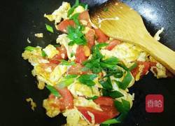 番茄炒蛋的做法图解9