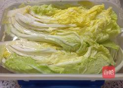 韩国辣白菜的做法图解3