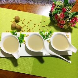 红枣桂圆豆浆的做法[图]