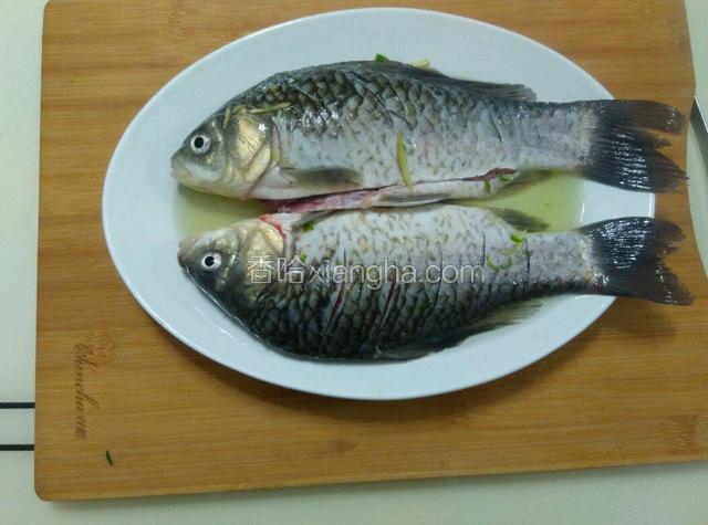 鱼身切斜刀，淋上葱姜水浸泡十五分钟