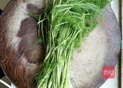 猪肉茴香饺子的做法图解9