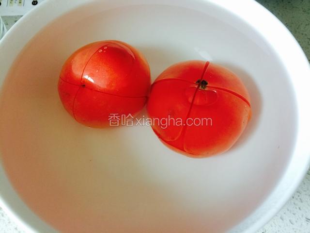 番茄打十字刀，泡在热水里，去皮。