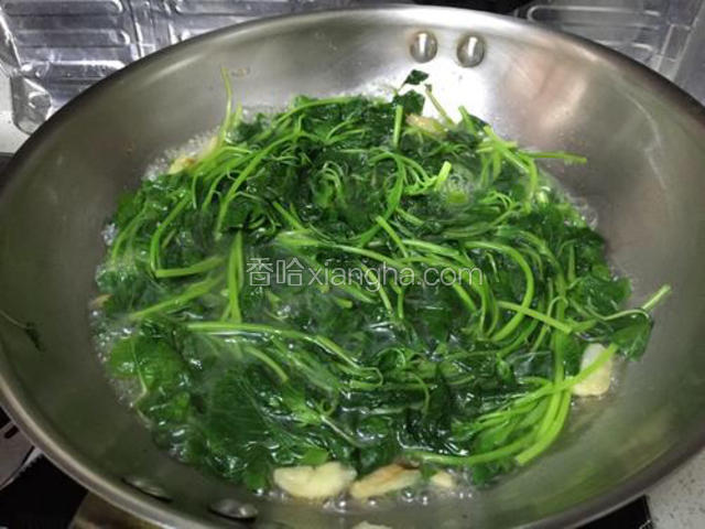 苋菜一炒软就会变少出汁，加入适量开水煮一下。