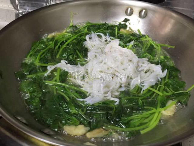 然后加入小银鱼。