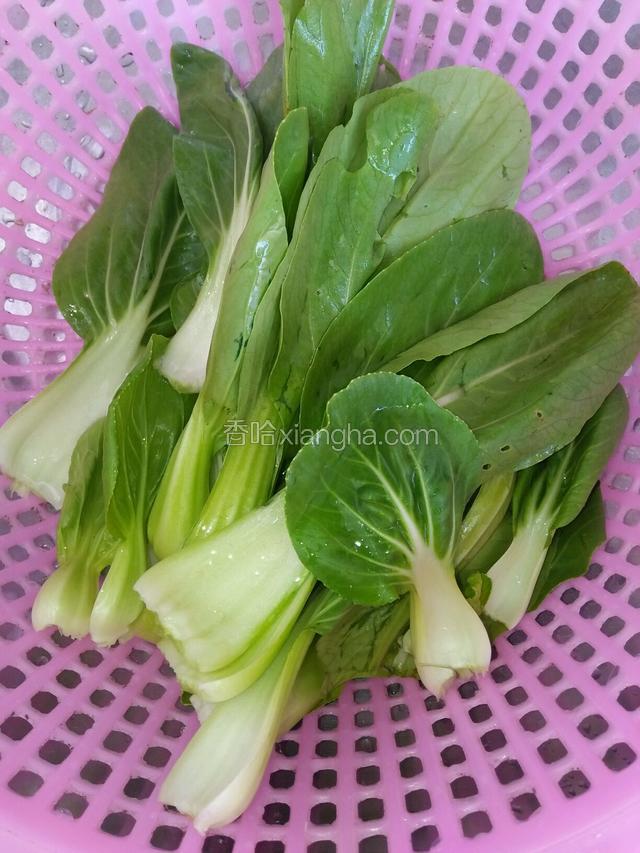 买回来的油菜洗干净