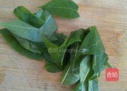 凉拌香椿的做法图解2