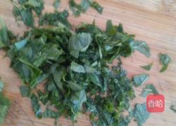 凉拌香椿的做法图解3