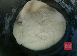 香菇白菜猪肉包的做法图解5