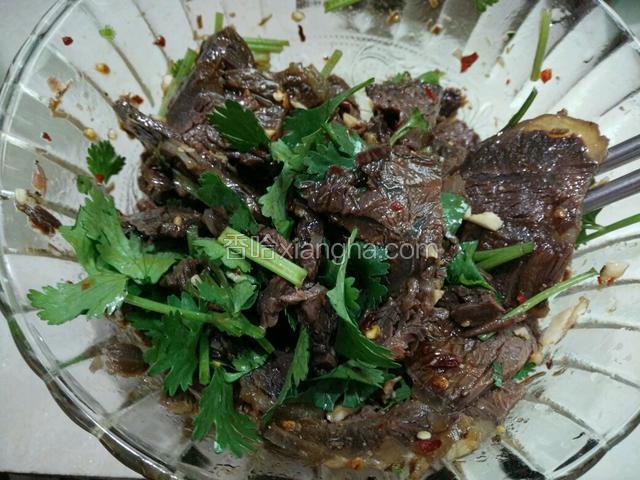 将上述凉拌汁和香菜段一起加进牛肉里拌匀