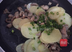土豆片炒肉的做法图解8