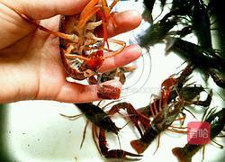 清蒸小龙虾的做法图解2