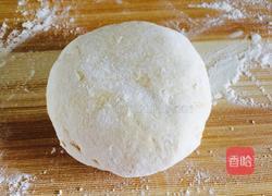 西红柿面条的做法图解2