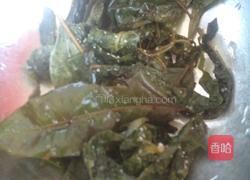 凉拌香椿咸菜的做法图解1