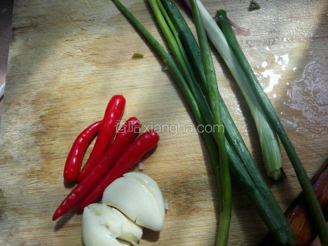 准备辣椒、大蒜、香葱，洗干净，切碎