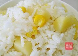 电饭煲骨汤土豆焖饭的做法图解5