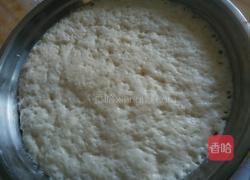 原生态野菜水煎饺的做法图解1