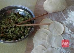 槐花猪肉水饺的做法图解6