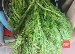 茴香肉水饺的做法图解1