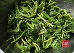 凉拌刺五加的做法图解3