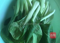 蒜蓉小油菜的做法图解1