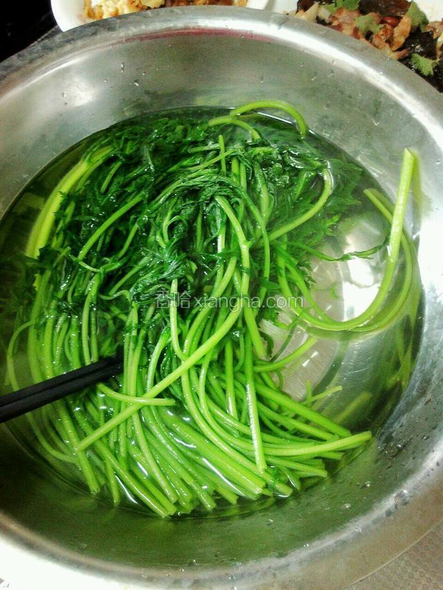 焯过的茼蒿放在凉水里