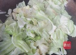 清炒包心菜的做法图解4
