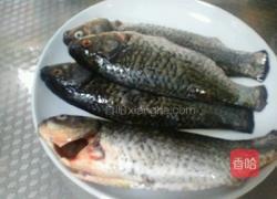 清炖鲫鱼汤的做法图解1