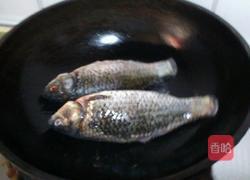清炖鲫鱼汤的做法图解2