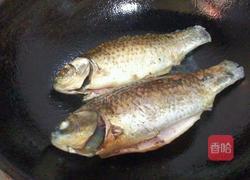 清炖鲫鱼汤的做法图解3