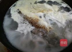 清炖鲫鱼汤的做法图解5