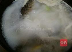 清炖鲫鱼汤的做法图解7