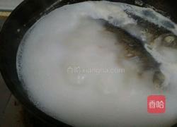 清炖鲫鱼汤的做法图解8