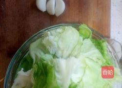 炒洋白菜的做法图解1
