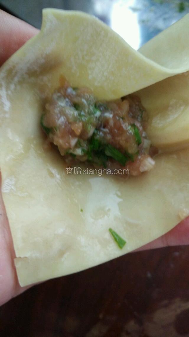 将肉馅包入云吞皮中，再随意捏好。