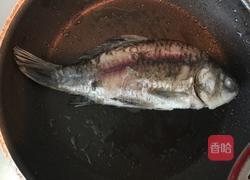 清炖野生小鲫鱼的做法图解4