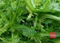 凉拌苦菊的做法图解1