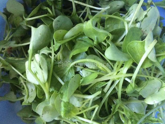 准备好水萝卜菜，也可以选用小白菜的叶子，鲜嫩即可