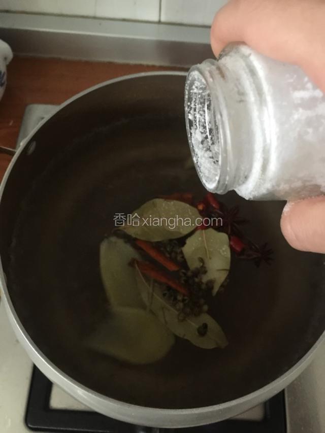 把这些备料都放在水里，加入盐。把水烧开。