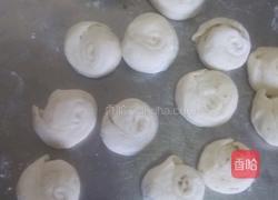 茴香烧饼的做法图解8