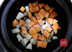 木瓜炖梨的做法图解4