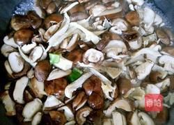 烧蘑菇的做法图解3