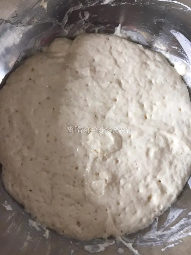 发酵至三倍大的酵种完成