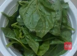 蒜香木耳菜的做法图解1