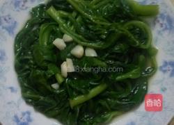 蒜香木耳菜的做法图解4