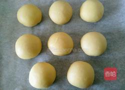 鲜肉月饼的做法图解11