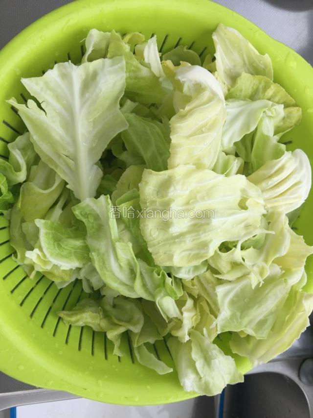 卷心菜洗尽撕片
