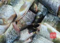 红烧鲤鱼的做法图解1