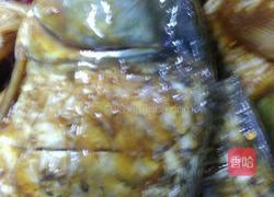 红烧鲤鱼的做法图解8