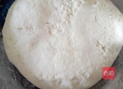 韭菜鸡蛋烫面蒸饺的做法图解4